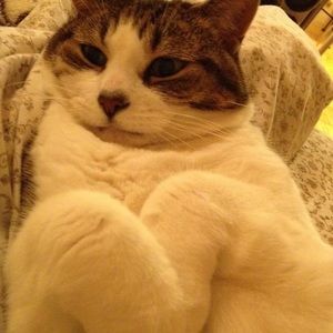 Meet your Posher, Nourj